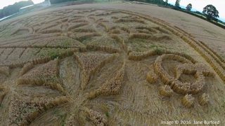aerial of Ansty from ccc