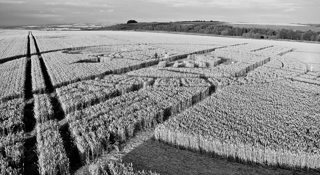 ground of Barbury Castle from ccc