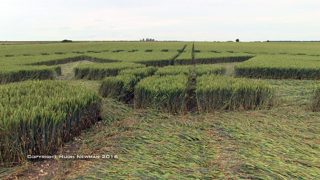 ground of Stonehenge from ccc