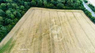aerial of Norridge Wood
