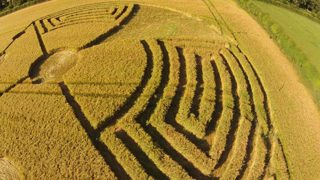 other of Badbury Rings from ccc