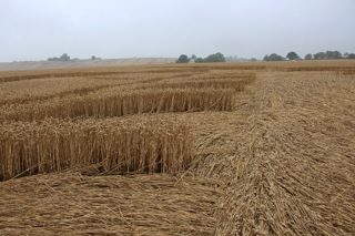 ground of Stratford-upon-Avon from ccc