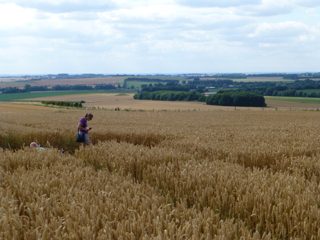 ground of Avebury from ccc