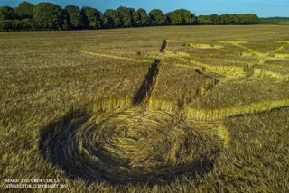 ground of Badbury Rings from ccc