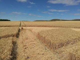 ground of Clifford's Hill from ccc