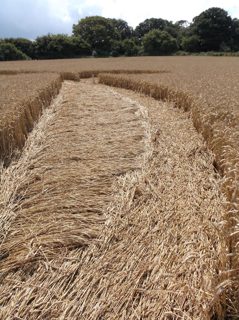 ground of East Kennett from ccc