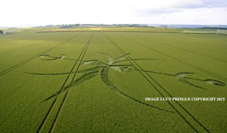aerial of Stoford from ccc