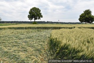 ground of Blaesheim from ccc