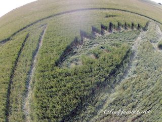 ground of Hackpen Hill from ccc