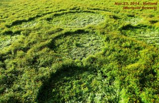 aerial of Bosschenhoofd-Zegge from ccc