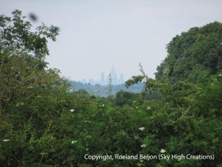 ground of Reigate from ccc