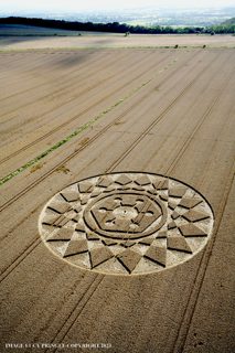 aerial of Roundway Hill from ccc