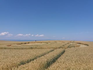 ground of Baggwilgraben from ccc
