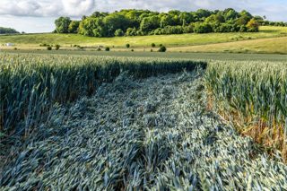 ground of Danebury Hill from ccc