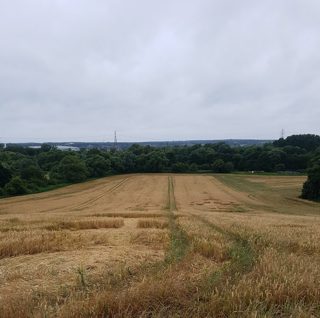ground of Roydon from ccc