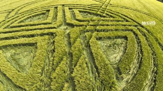 aerial of Blandford Forum from ccc