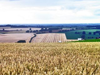 ground of Barbury Castle from ccc