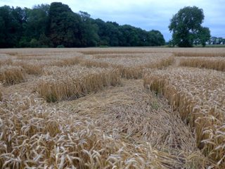 ground of Highworth from ccc