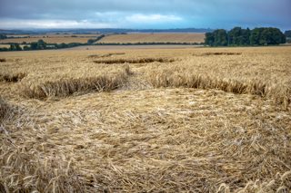 ground of Fonthill Bishop from ccc