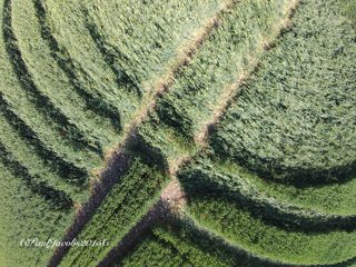 aerial of Westwoods from ccc