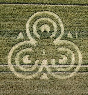aerial of Valiis House