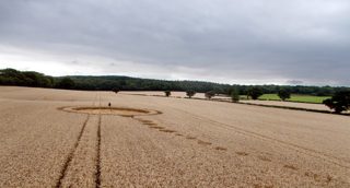 ground of Wotton Wawen from ccc