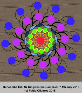 diagram of Muncombe Hill from ccc