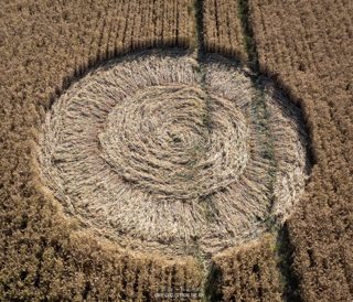 aerial of Ludwell