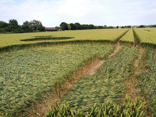 ground of Sutton Hall from ccc