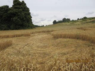 other of Roydon from ccc