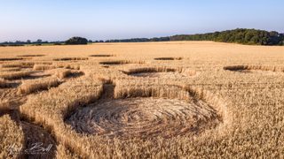 ground of Muncombe Hill from ccc