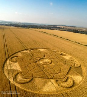 aerial of Nursteed from ccc