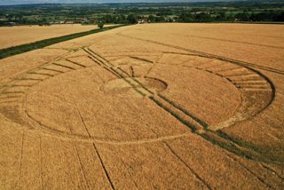 aerial of Kingdon