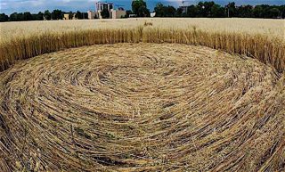 aerial of Berezovaya Roshcha Alleya