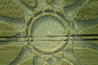 ground of Barbury Castle from ccc