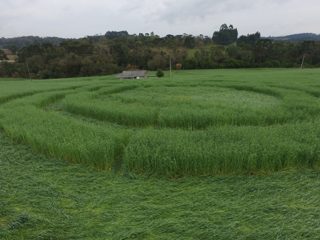 ground of Prudentópolis from ccc