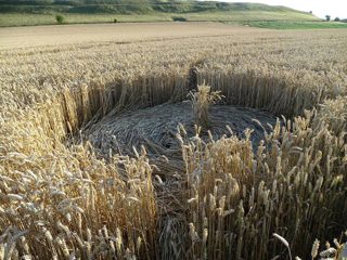 ground of Maiden Castle from ccc