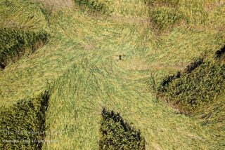 ground of Froxfield from ccc