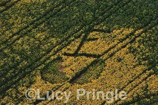 other of Marlborough