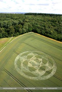 other of Fonthill Down
