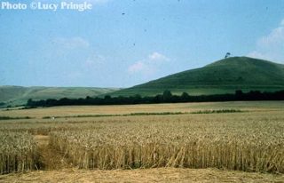 other of Roundway Hill
