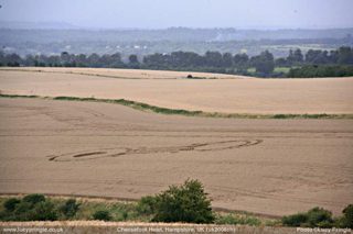 other of Cheesefoot Head