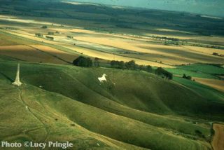 other of Cherhill White Horse