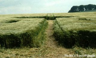 other of Avebury Trusloe