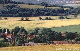 other of South Harting