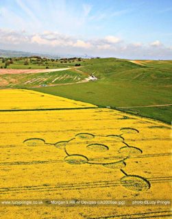 other of Morgans Hill