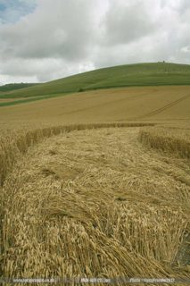 other of Below Milk Hill