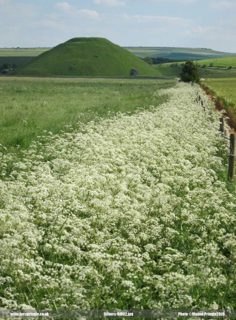 other of Silbury Hill
