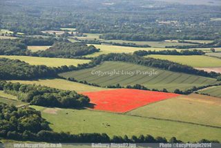 other of Badbury Rings from lp