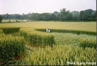 other of Goodworth Clatford